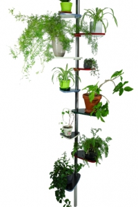 Jungle-Tree